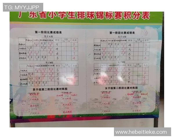 南京排球队的成长之路：一段激情与坚持交织的纪实故事