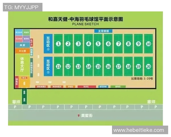 成都羽毛球队的战术演变与转换体系研究探讨