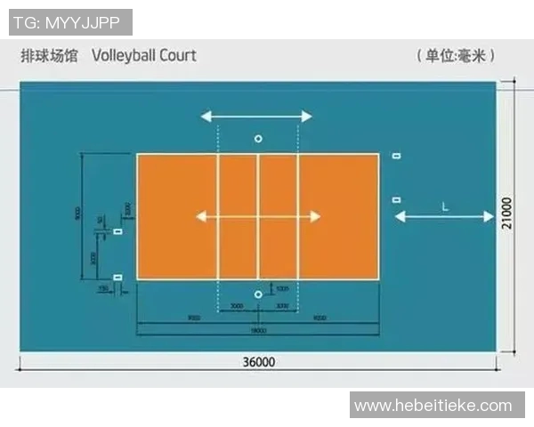 深圳排球队在锦标赛中的速度优势与战术分析